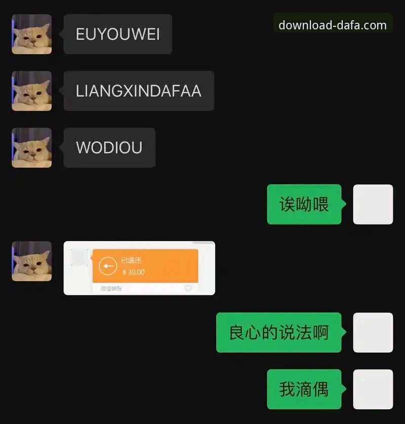 最新大发DAFA官方下载 最新大发DAFA官方下载实用指南:从安装到使用必备知识